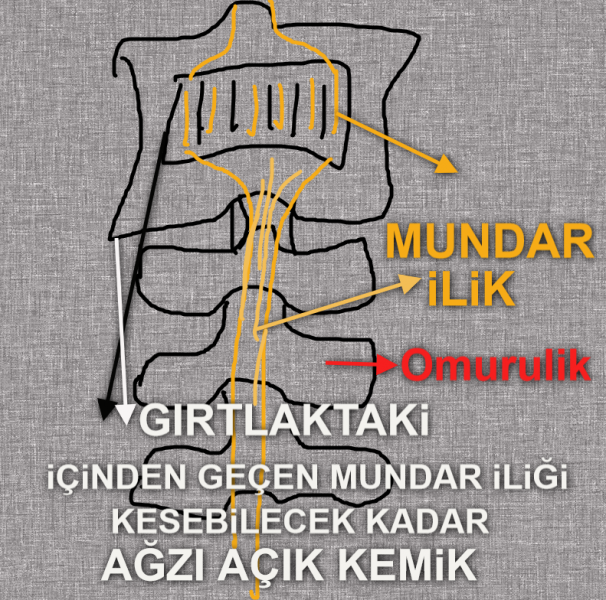 [Resim: 6671504bb1.png]
